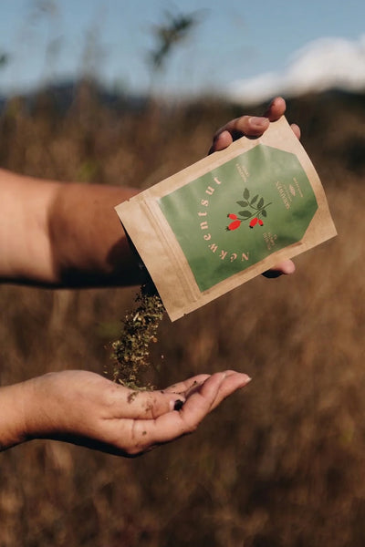 Nékwentsut Rose Nettle Mint Tea