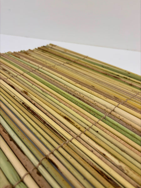 Tule Weaving Workshop with Taylor Baptiste