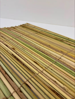Tule Weaving Workshop with Taylor Baptiste