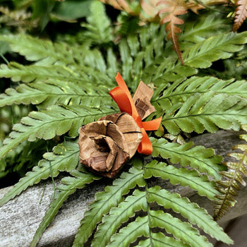 Cedar Rose Workshop with Bettina Whonnock-Thomas